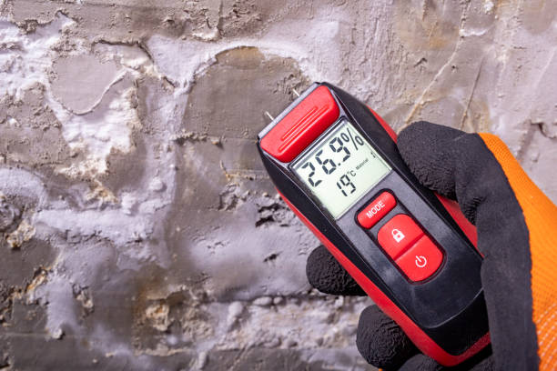 Best Mold Removal Near Me  in New Town, ND