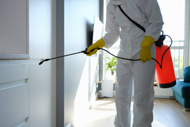 New Town, ND Mold Removal Company